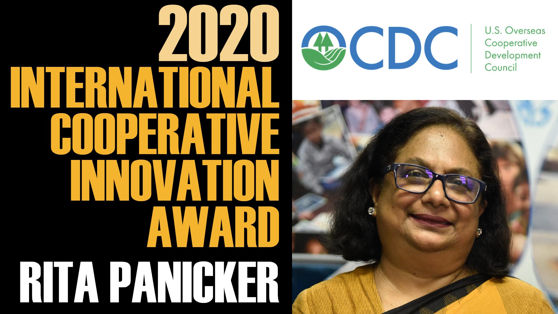 Rita Panicker Wins Innovation Award